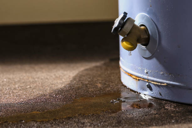 Reliable Fruita, CO Water damage restoration Solutions