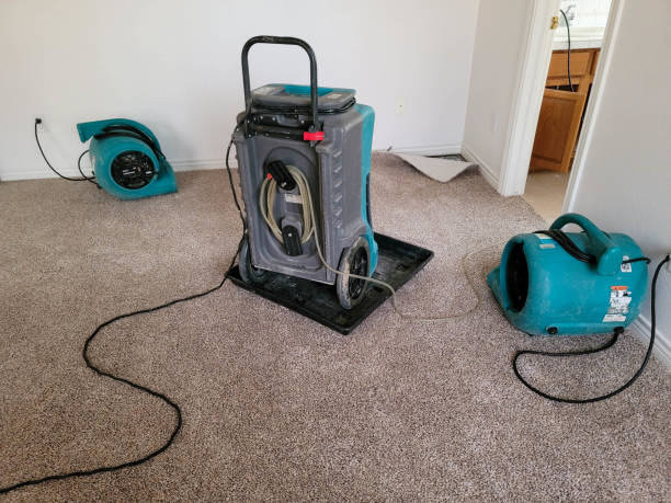 Best Emergency water damage restoration  in Fruita, CO