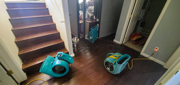 Best Ceiling water damage repair  in Fruita, CO