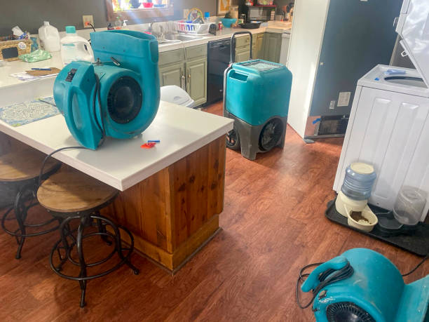 Best Water damage contractors near me  in Fruita, CO