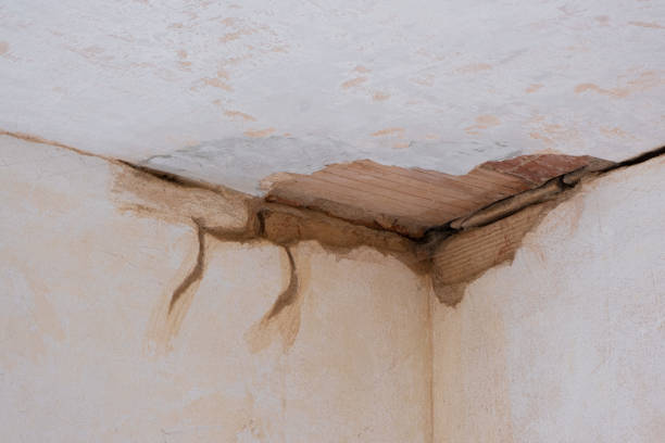  Fruita, CO Water damage restoration Pros