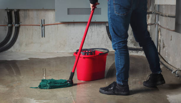 Best Sewage cleanup and water damage restoration  in Fruita, CO