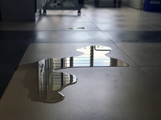 Best Commercial water damage restoration  in Fruita, CO