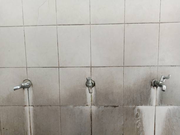 Best Carpet water damage restoration  in Fruita, CO