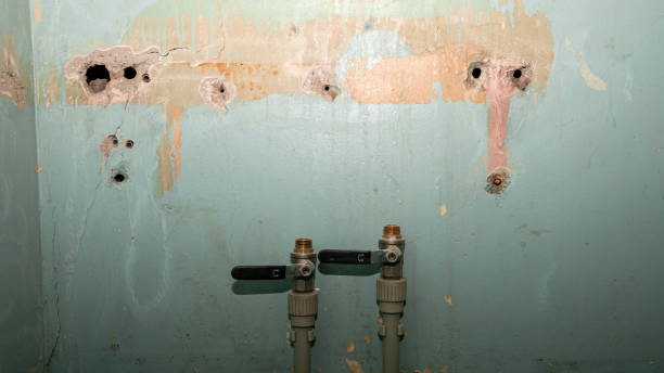 Best 24/7 water damage repair  in Fruita, CO