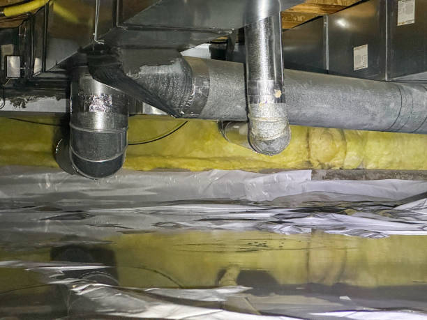 Best Water damage restoration services  in Fruita, CO