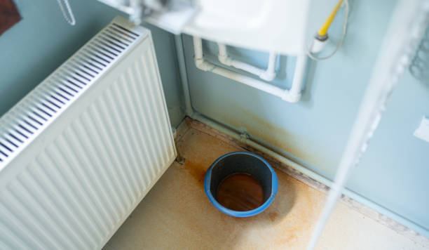 Water damage restoration mold remediation in Fruita, CO