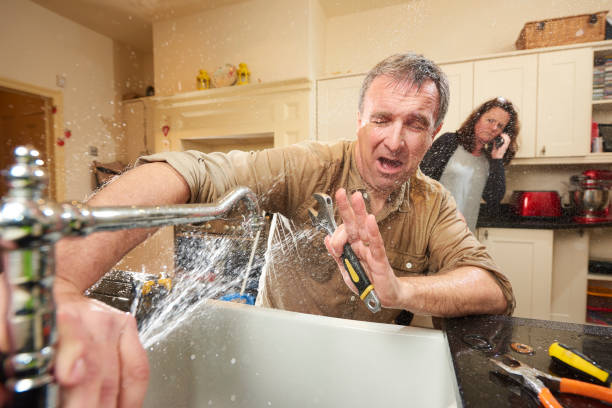 Best Residential water damage restoration  in Fruita, CO